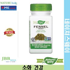 네이쳐스웨이 펜넬 씨드 480mg 비건 캡슐 100정 1개 / Nature's Way Fennel Seed 480 mg Exp. 2024/09
