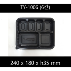 ty1006