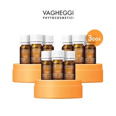 vagheggi
