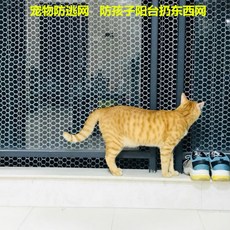 adbd786d2f28aaeb49f2d23ffd179a76548c701ce642c89628e344194a3a.jpeg