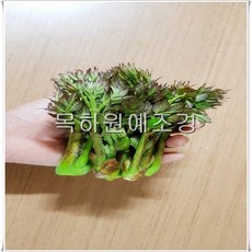 51eda18ccfbe60e6f6a4b125768784bfa51c849cd2280a59ac16a3c051e6.jpg