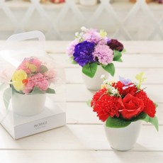 꽃바구니 배달 개업 화분 어버이날 서울 꽃배달 생일 선물 꽃다발 화환 축하, 버터플라이 카네이션 화분 바이올렛