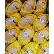 프리미엄 애플망고 태국 골드망고 선물세트 특대, 03)골드망고 2.5kg, 1개