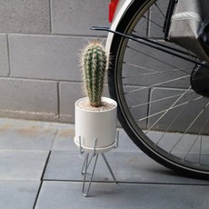 무륜주