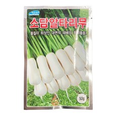 강원도고냉지초롱무우