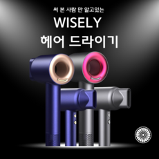 와이즐리 드라이기 항공모터 헤어 강력한 바람, 그레이