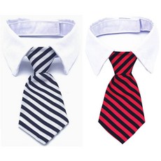 촬영소품나비넥타이