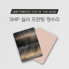 smp TOP01