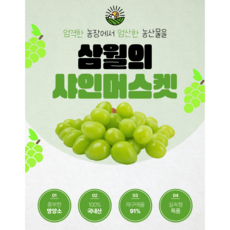 고당도 샤인머스켓 씨없는 포도 가정용, 1박스, 특품 4kg 4~5수