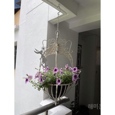 엑스플랜트 TOP01