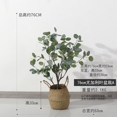 //상품명