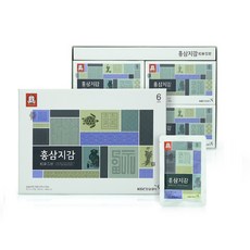 정관장 홍삼지감 50ml 20포 선물세트, 1세트