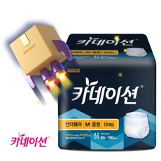 카네이션 성인용 팬티기저귀 10매 / 입는 기저귀 / 중(65~100cm 흡수량 1000ml) 대(80~125cm 흡수량 1200ml), 8팩, 10개입, 중형