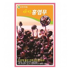 홍염