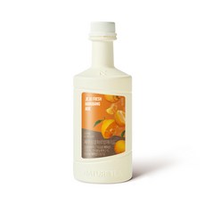 네이쳐티 NEW 제주상큼하르방에이드 1.2KG, 1개