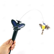 태양열춤추는벌새