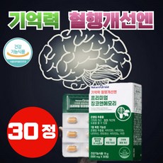 은행잎추출물 혈액순환제 식약청인증 징코 ginkgo 엔 앤 메모리 플러스 수퍼 맥스 혈행개선 기억력 뇌 인지 력 기능 건강 시니어 은행잎 추출물 효능 영양제 마켓정감, 1개, 30정