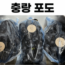 거봉2kg
