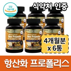 플로니스타로카드