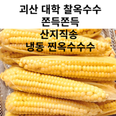 쫀득괴산대학찰옥수수