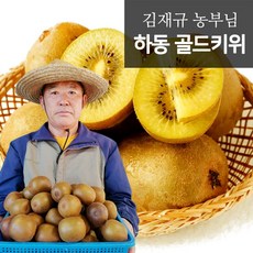 GAP인증 하동 골드키위 2kg(27-33과)(중과), 1개
