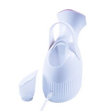 페이스 스티머 얼굴 스팀기 페이셜 대용량 워터 탱크 100ml 부드러운 전기 스파 미백, 1.라이트 그린, 1)라이트 그린, 1개