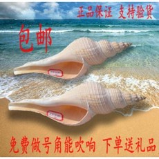 블루가재