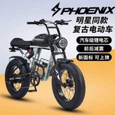 산악바이크 전기 스노우바이크 킥싸다KSD-RX7pro 60V25AH 정격3000W