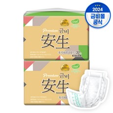 국내생산 금비 성인용기저귀 안생 속기저귀 라운드형 60매(30매X2팩), 2팩, 30개