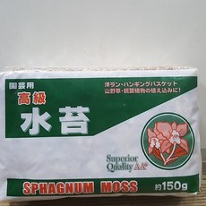 건수태