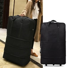 교환학생캐리어