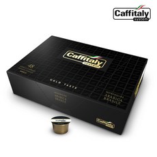 카피탈리시스템