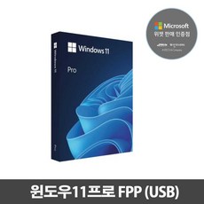 정품 마이크로소프트 윈도우11 프로 FPP (USB타입)