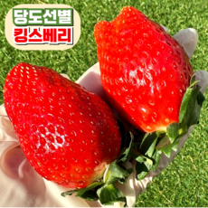[프리미엄] 킹스베리 딸기 논산 농장직송, 1개, 대왕특 1팩(400g) 5-7과