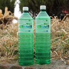 하동 지리산 고로쇠 수액, 2개, 1.5L