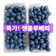 슈퍼특가 일등농수산 프리미엄 칠레 생블루베리, 1개, 14-16mm (125g*8팩)
