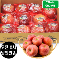 [오전8시 주문건 당일발송] 12브릭스 당도선별 세척사과 2kg (8~10입 중과), 1개