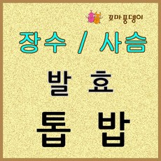 //상품명
