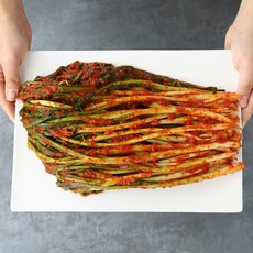 [HACCP/전통식품 인증] 맛깔스러운 전라도식 파김치/전재료 국내산, 파김치 1kg, 1개