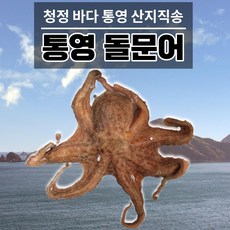 거제도수아수산