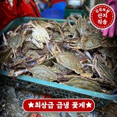 [호텔납품]플랫팜 3대째 이어온 소래포구 산지직송 가을 숫 꽃게, 1박스, 특대 2kg (3~4미/찜용)