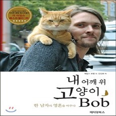 내어깨위고양이밥