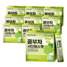 shine첼로