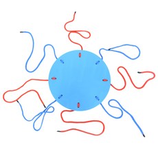 EVA협동공튀기기 8인용 공놀이 운동회 볼바운스 게임, 단품