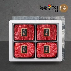 농협안심한우 정육1호 선물세트 1.2kg (국거리2팩/불고기2팩), 1개
