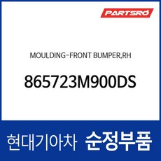 몰딩-프론트 범퍼 우측 (865723M900-DS), 1개