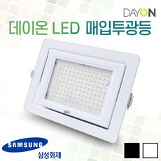 매입투광등