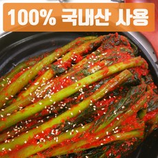 종가집물김치5kg