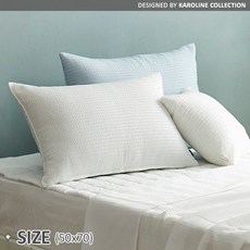 캐롤라인샤샤쿨리플