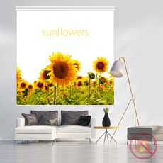 예쁜암막롤스크린